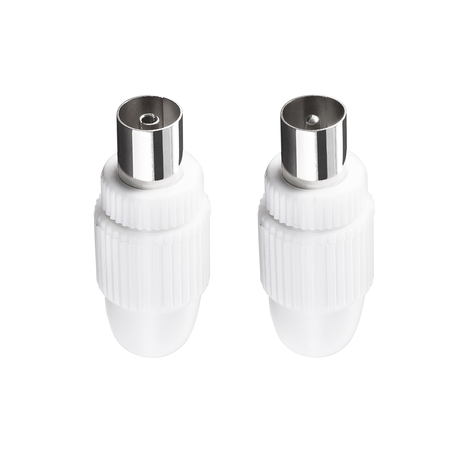 Champion Antennkontakt R Hane/Hona