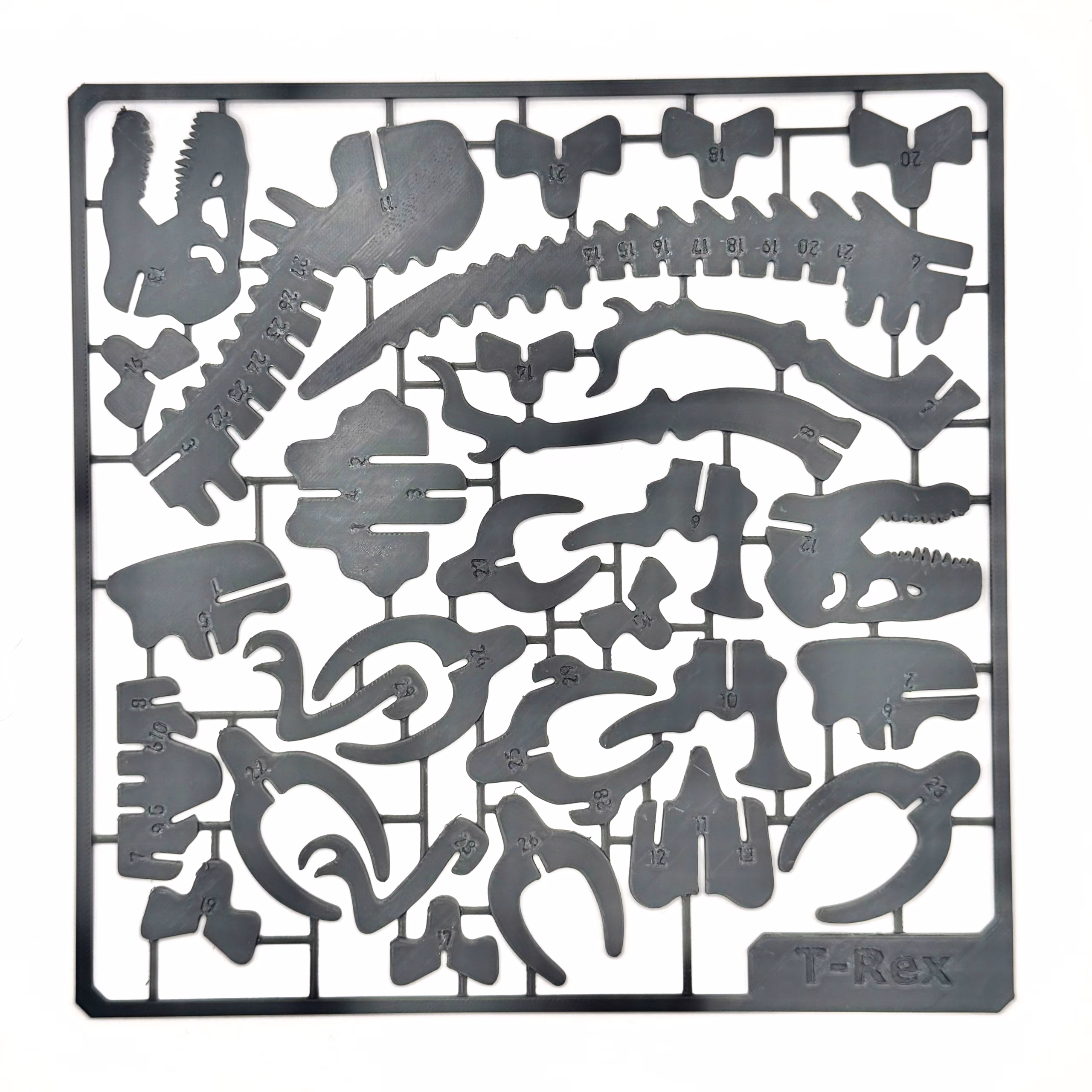 3D-Print - Kit Card - T-REX - Dark Grey